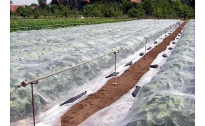 Agricultural Film "Plant-Protex" P-23. Weight 23 g/m2, 6,35 m x 100 m, (635m2). Price per m2 - 0.179 EUR