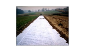 Agricultural Film "Plant-Protex" P-19. Weight 19 g/m2, 3,20 m x 100 m, (320 m2). Price per m2 - 0.116 EUR