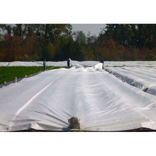 Agricultural Film "Plant-Protex" P-23. Weight 23 g/m2, 4,20 m x 100 m, (420m2)