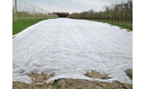 Agricultural Film "Plant-Protex" P-19. Weight 19 g/m2, 4,20 m x 100 m, (420m2). Price per m2 - 0.153 EUR