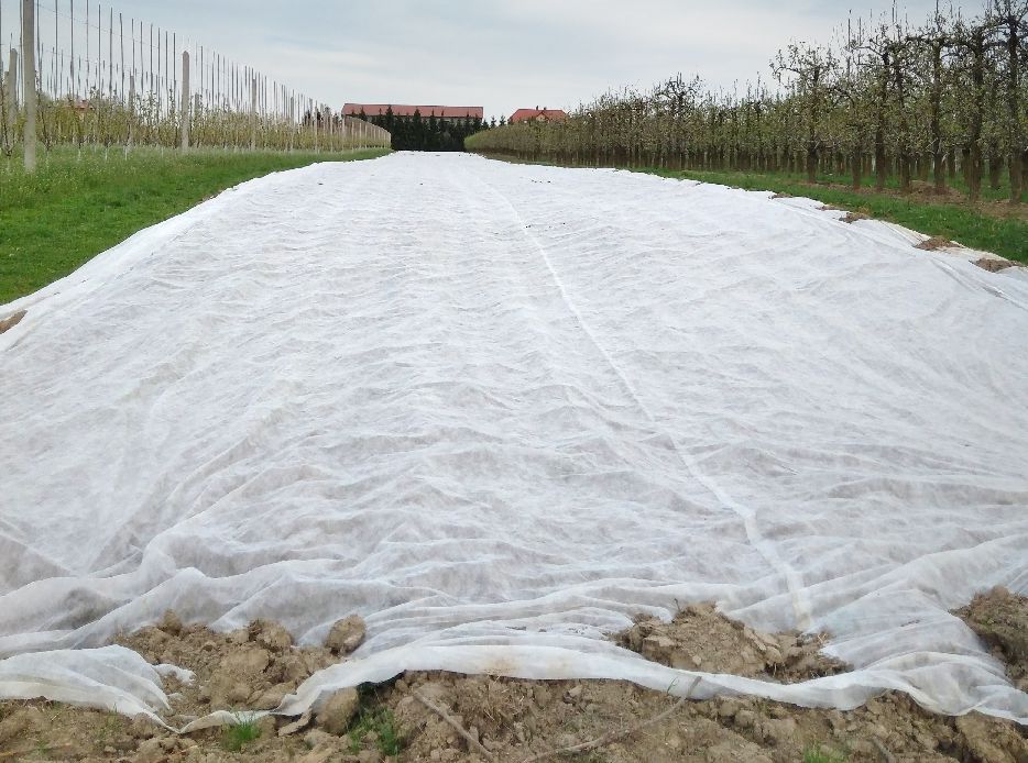 Agricultural Film "Plant-Protex" P-19. Weight 19 g/m2, 4,20 m x 100 m, (420m2). Price per m2 - 0.18 EUR