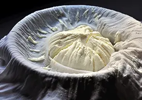 Curd Cloth